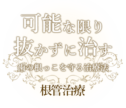 可能な限り抜かずに治す、歯の根っこを守る治療法。根管治療